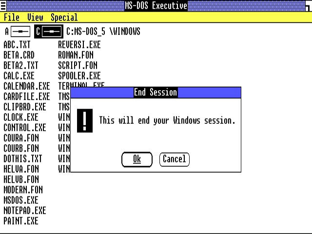 Windows 1.0 MS-DOS Executive screenshot