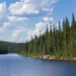 3D Nature Soundscapes